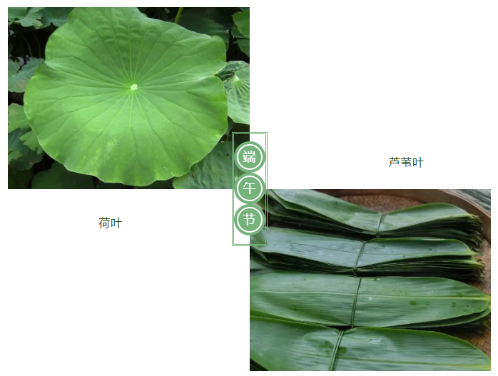 IM电竞医纺