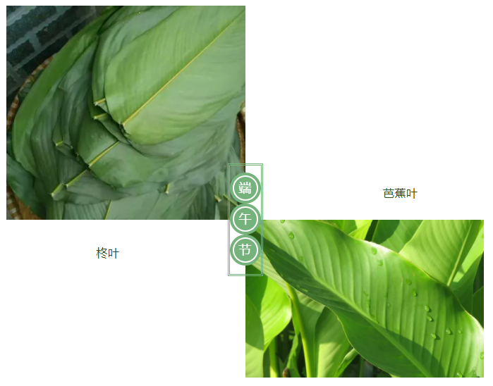 IM电竞医纺