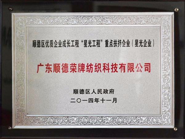 IM电竞-2012年获顺德政府颁发“星光企业”称号