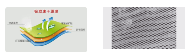 IM电竞医用纺织