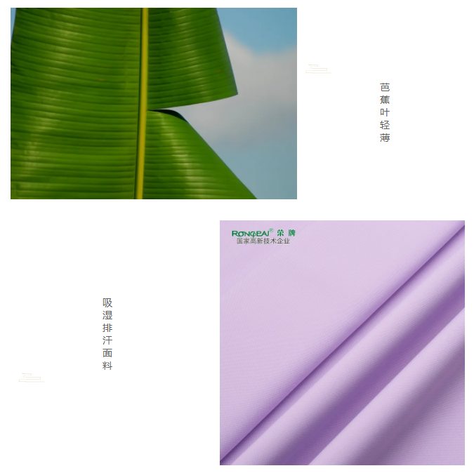IM电竞医纺