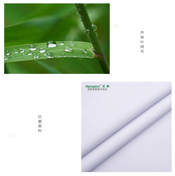 IM电竞医纺