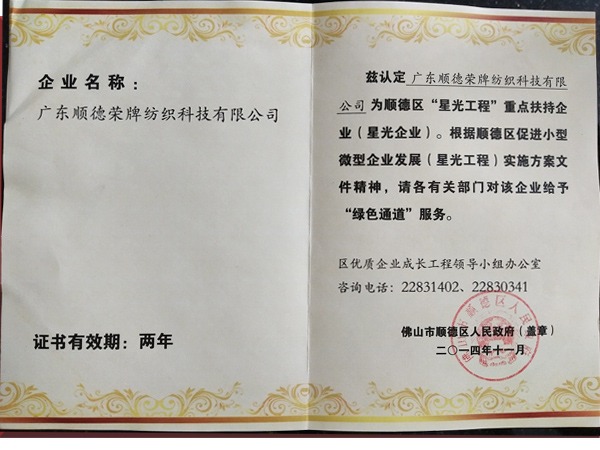 IM电竞荣获政府重点扶持企业